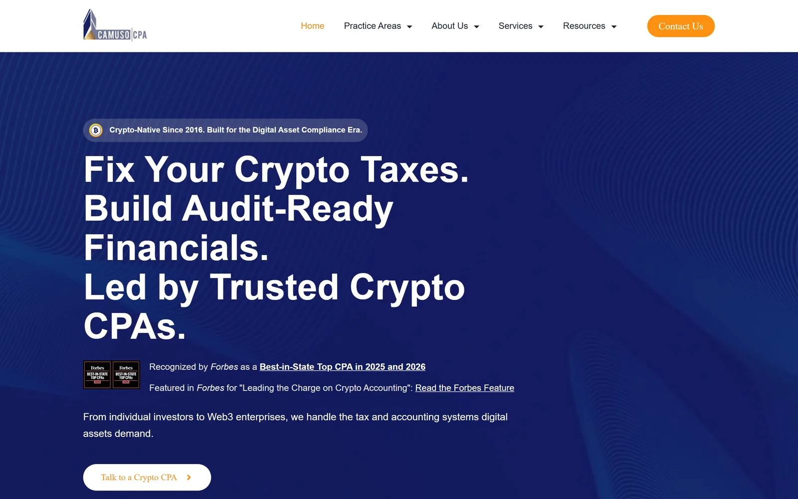 camusocpa.com, accounting website design: four short sentences in bold white over navy
