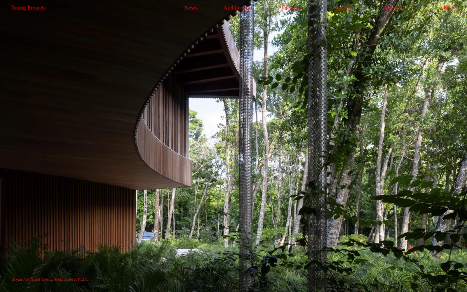 young-projects.com, architect website design: a curved timber canopy sits deep in a green tropical forest, filling the frame