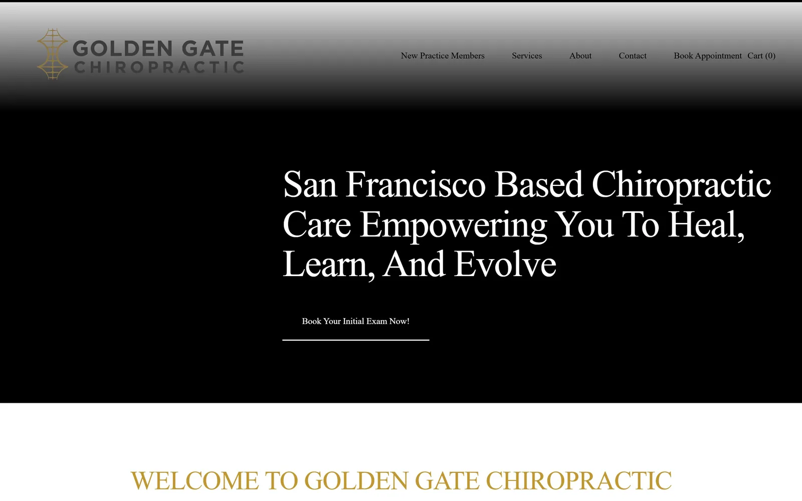 gogachiro.com, chiropractor website design: a black screen with three lines of white serif and a thin rule under a single text link