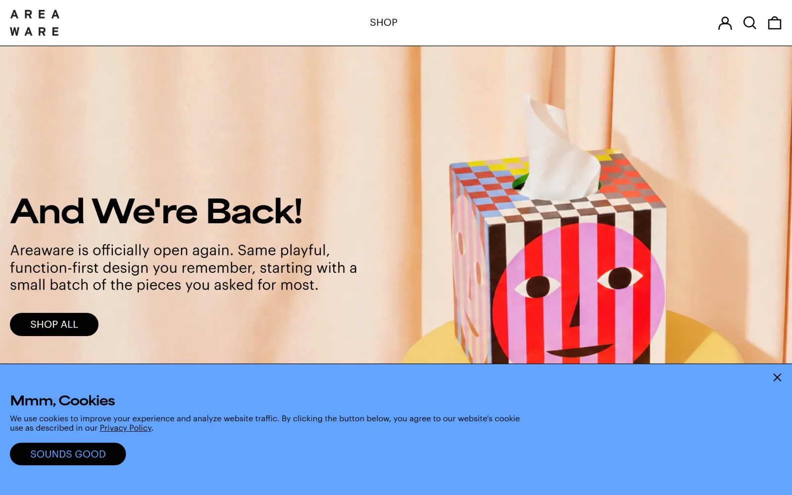 areaware.com, ecommerce website design: peach fabric backs a striped tissue box with a painted face