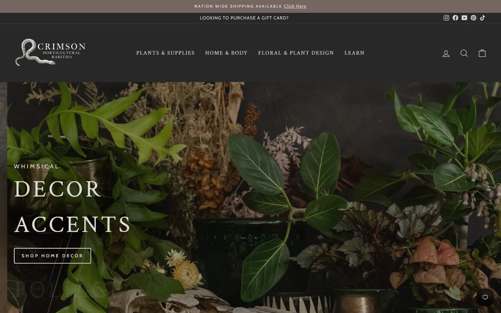 crimsonhort.com, florist website design: a dark photograph of ferns