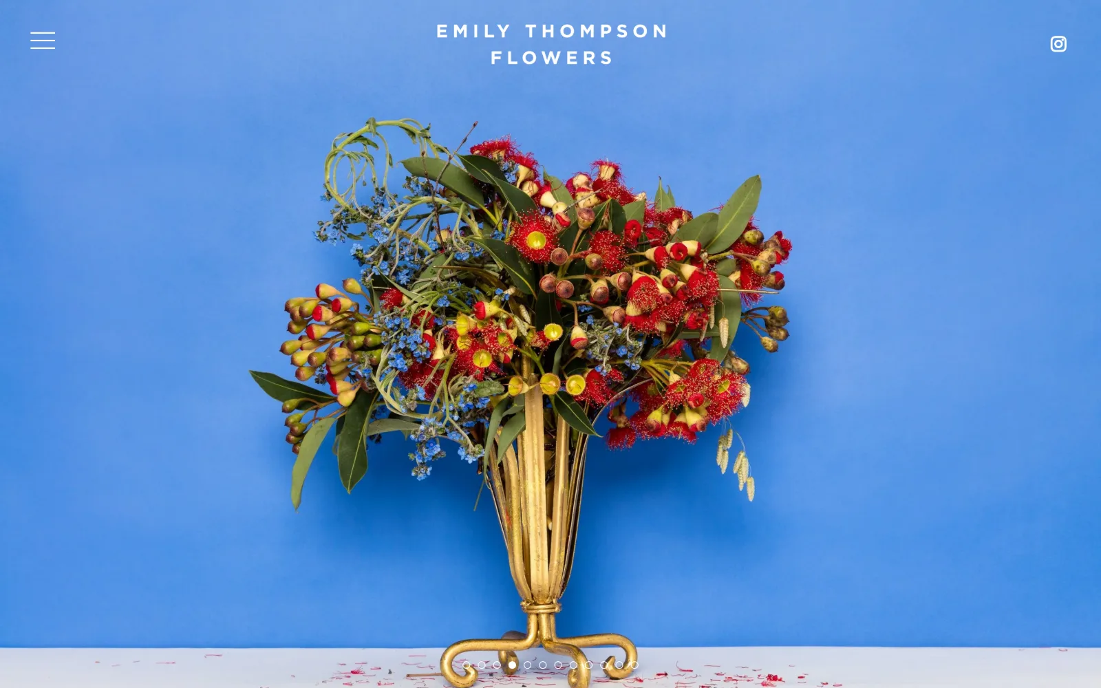 emilythompsonflowers.com, florist website design: a gold footed vase of red gum blossom and blue forget-me-nots stands against a flat