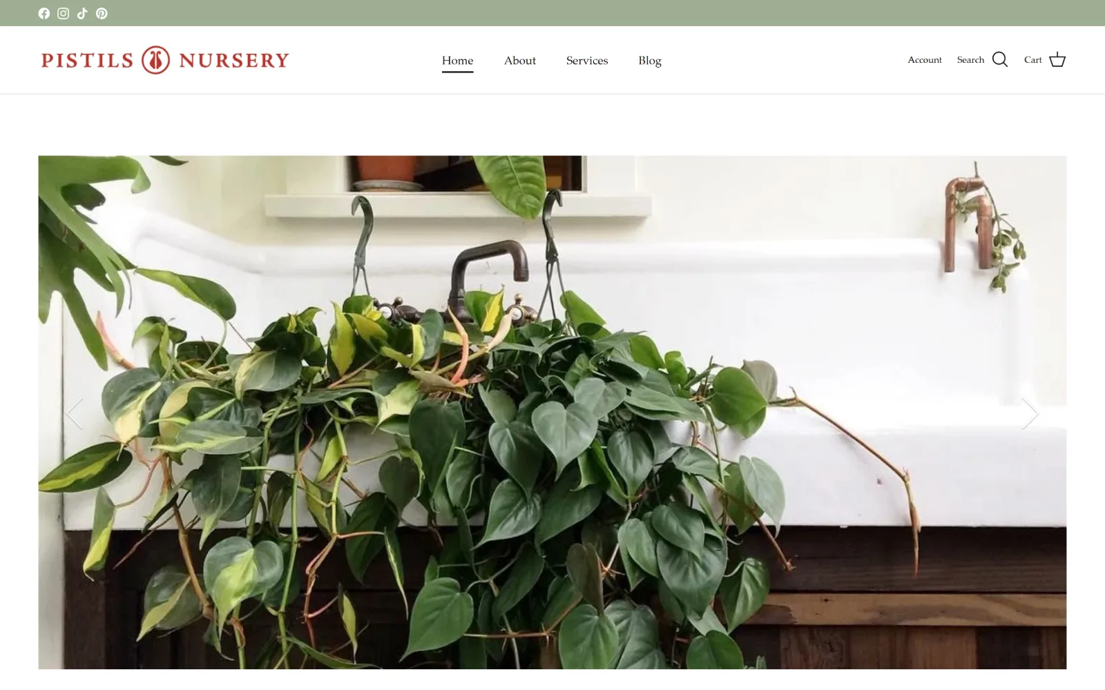 pistilsnursery.com, florist website design: a sage utility strip and a red letterspaced wordmark sit above an inset photograph of trailing