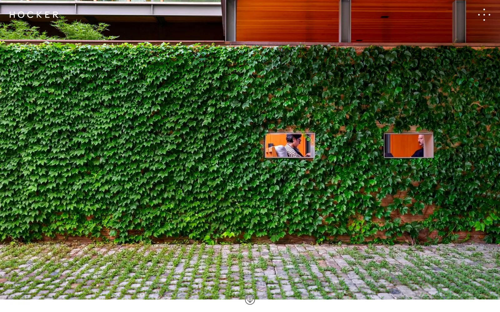 hockerdesign.com, landscaping website design: an ivy wall with two windows cut into it, and not one word of text on the screen
