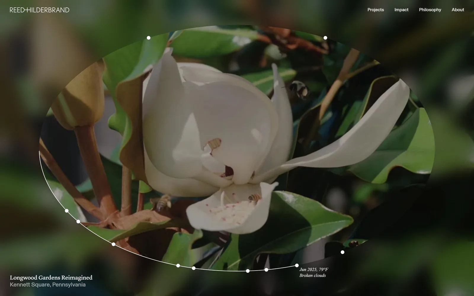 reedhilderbrand.com, landscaping website design: blurs the whole frame, then cuts a sharp ellipse through the centre and prints the live