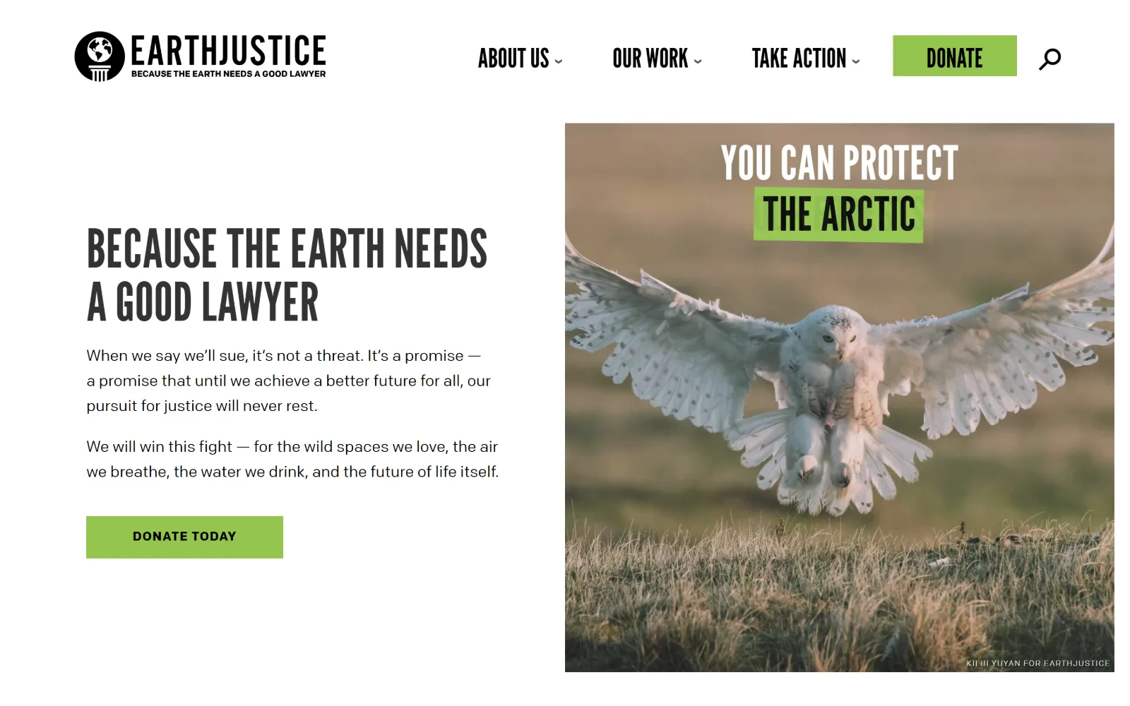 earthjustice.org, nonprofit website design: condensed black headline type and two paragraphs sit left of a square photograph of a snowy