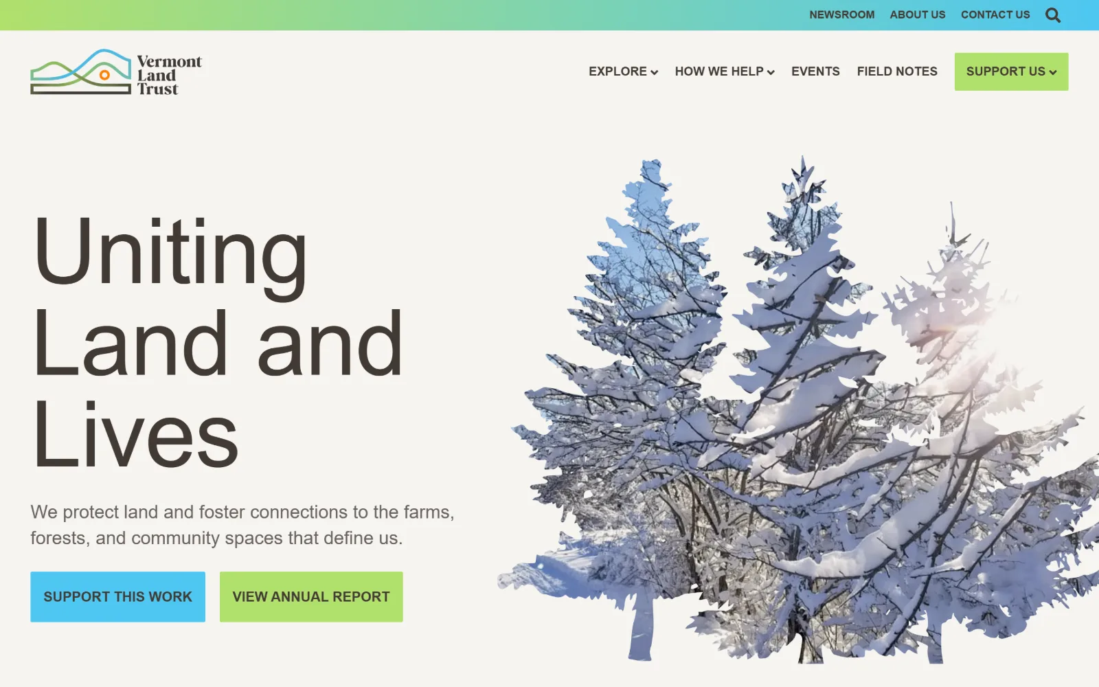 vlt.org, nonprofit website design: uniting Land and Lives runs in very large light grey type on cream