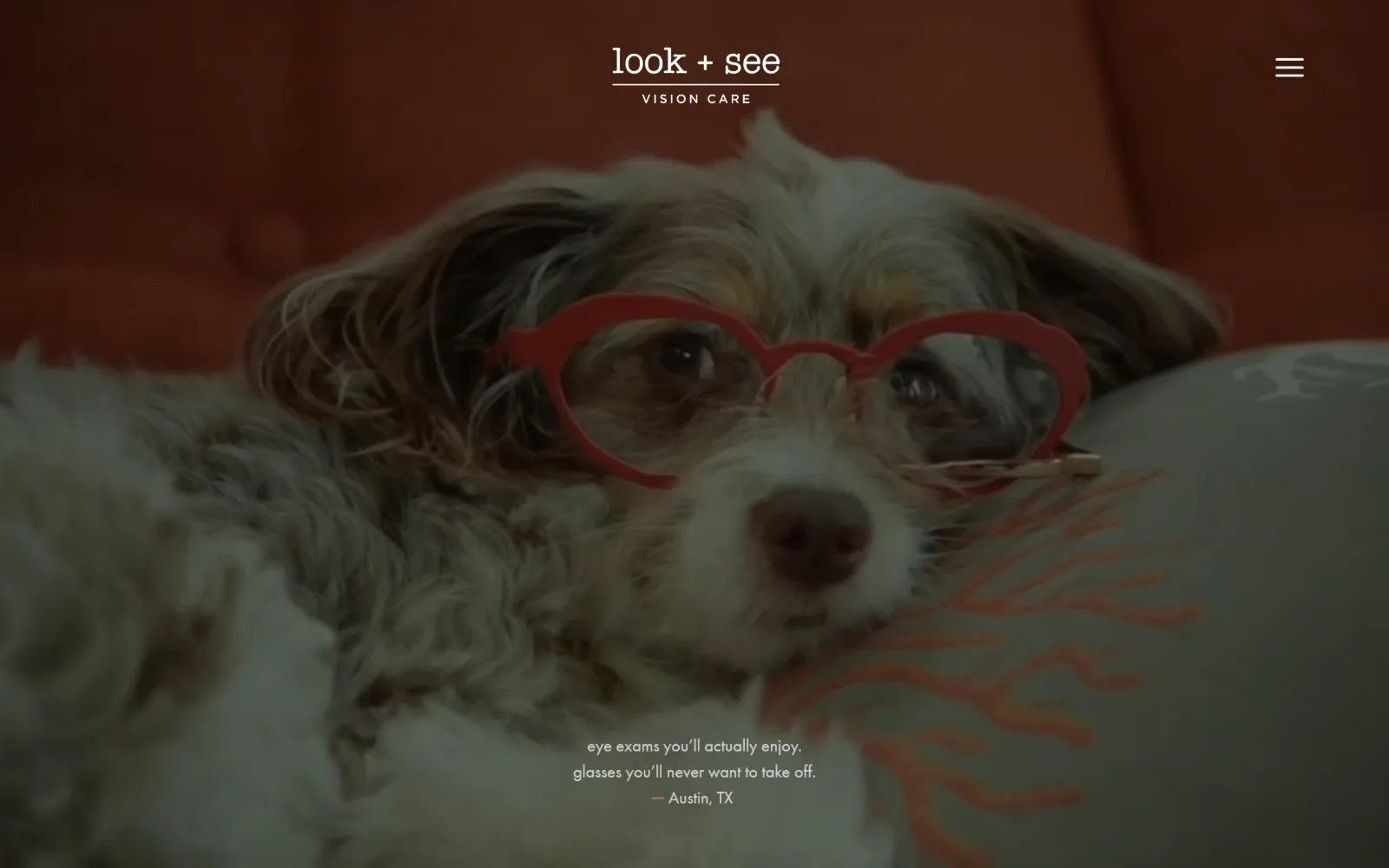 lookandseevision.com, optometrist website design: a dimmed video still of a scruffy dog wearing red heart-shaped glasses
