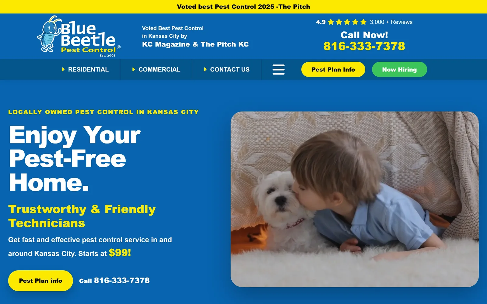 bluebeetlepest.com, pest control website design: kansas City blue and a hard yellow, run at full volume