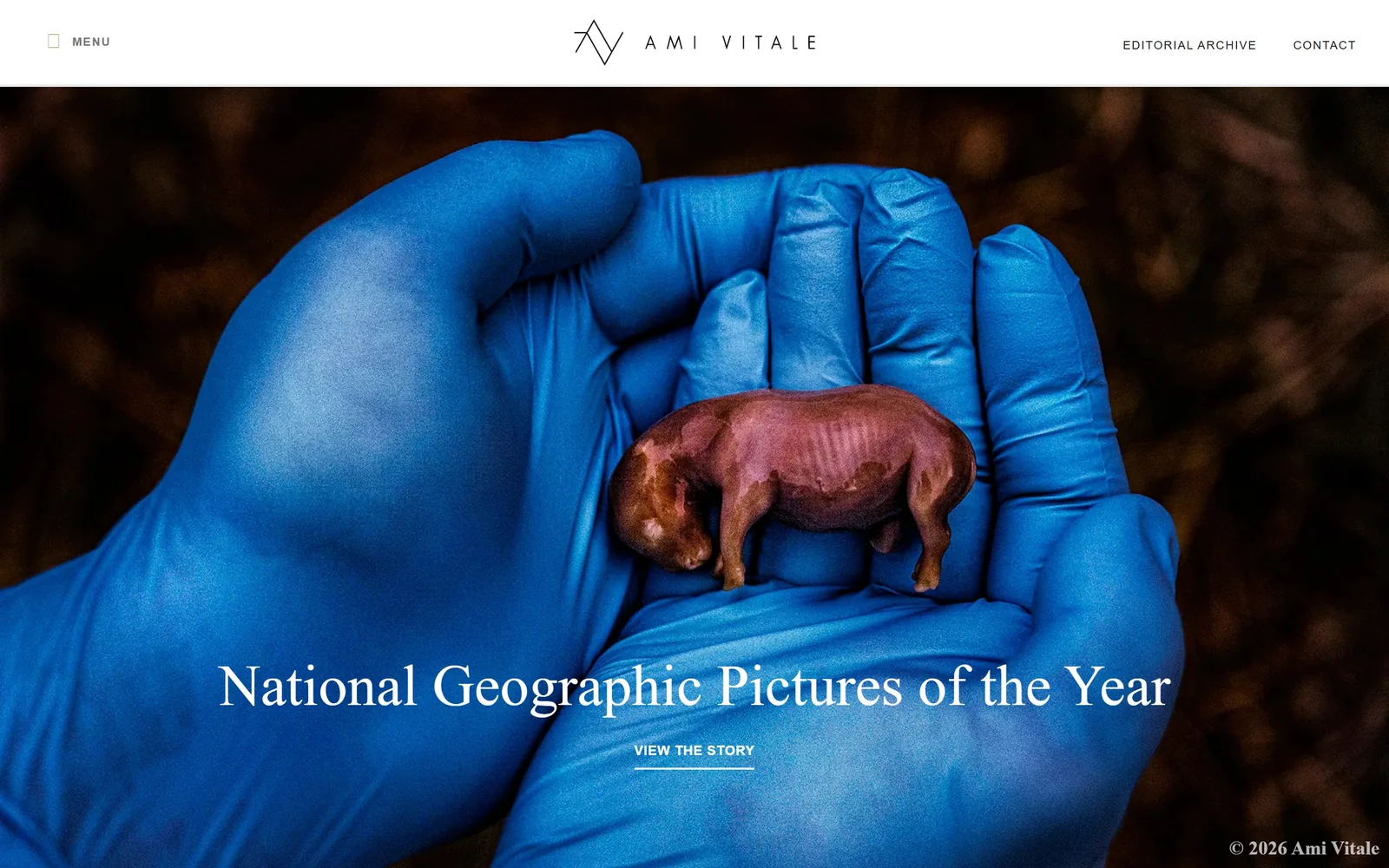 amivitale.com, photography website design: a blue-gloved hand cradling a tiny rhino figure