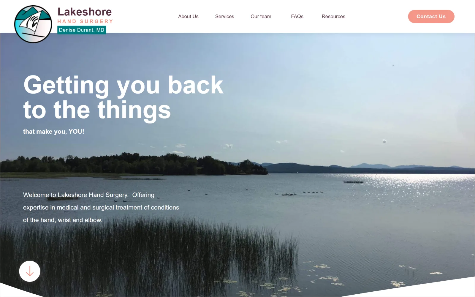lakeshorehandsurgery.com, plastic surgery website design: wide photograph of a calm lake with reeds in front