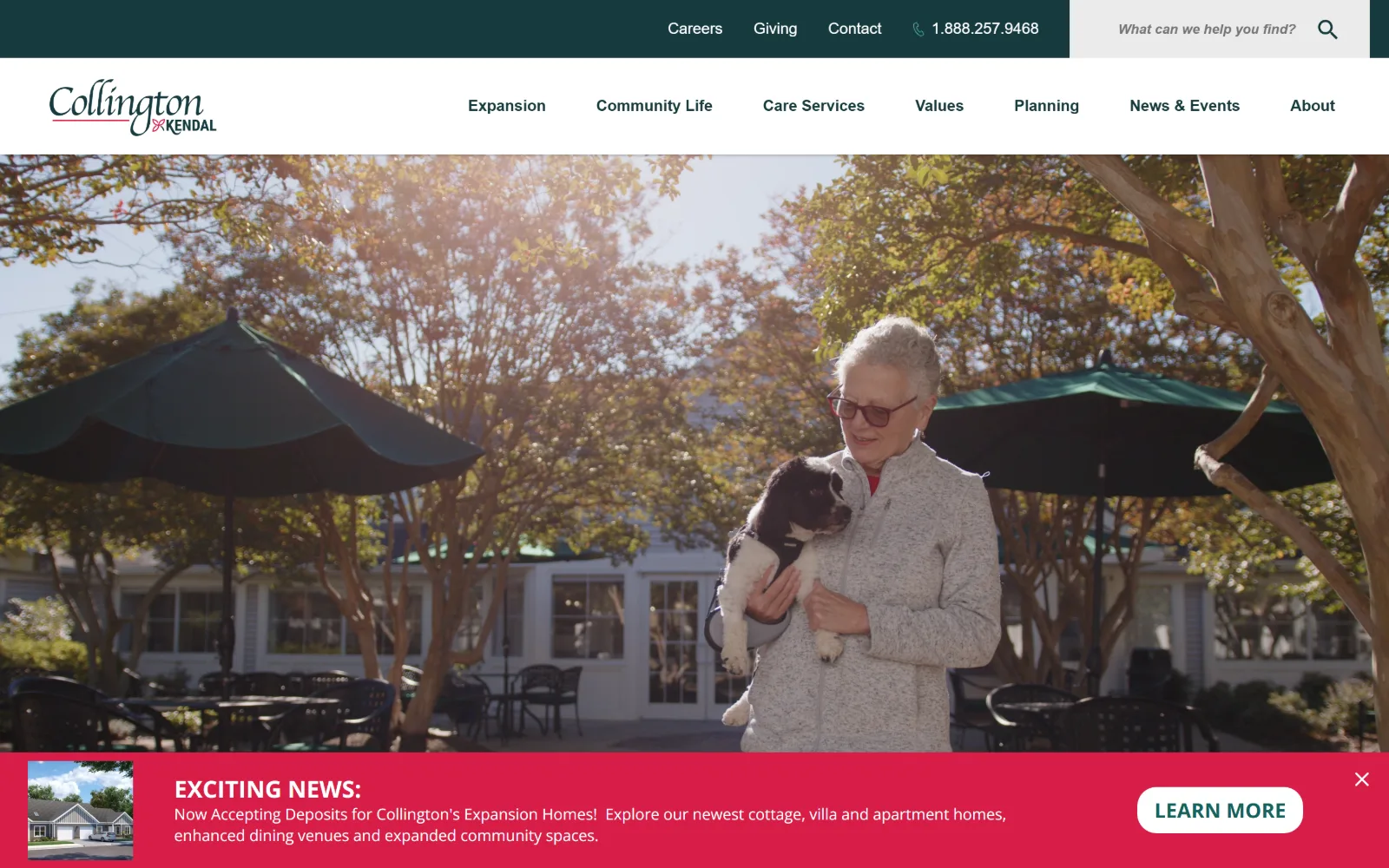 collington.kendal.org, senior living website design: a resident in a grey fleece holds a small spaniel on a terrace under dark green