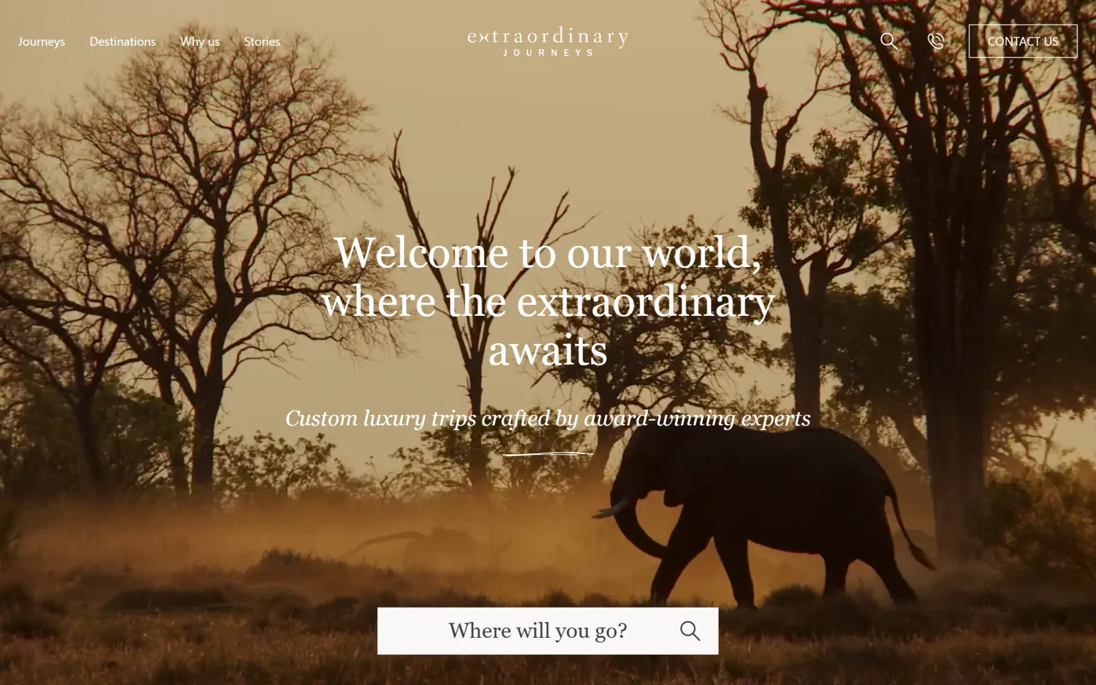 extraordinaryjourneys.com, travel agency website design: an elephant crosses dusty gold savannah at low sun