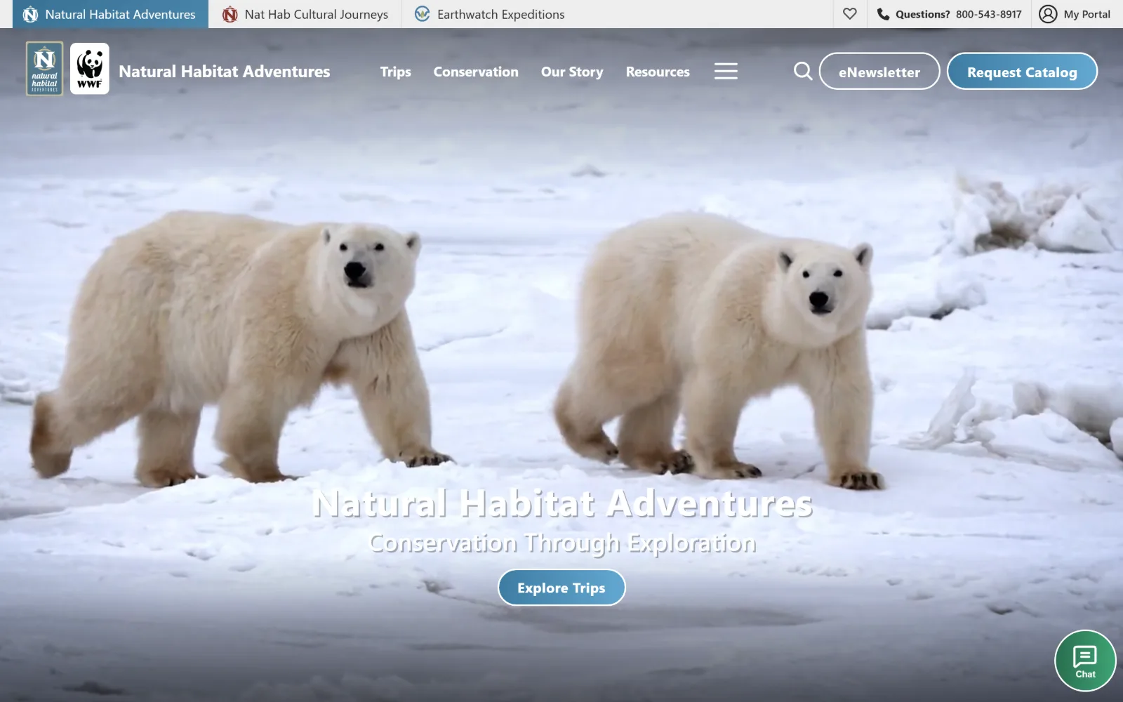nathab.com, travel agency website design: two polar bears walk across sea ice in a full-width video, with the company name