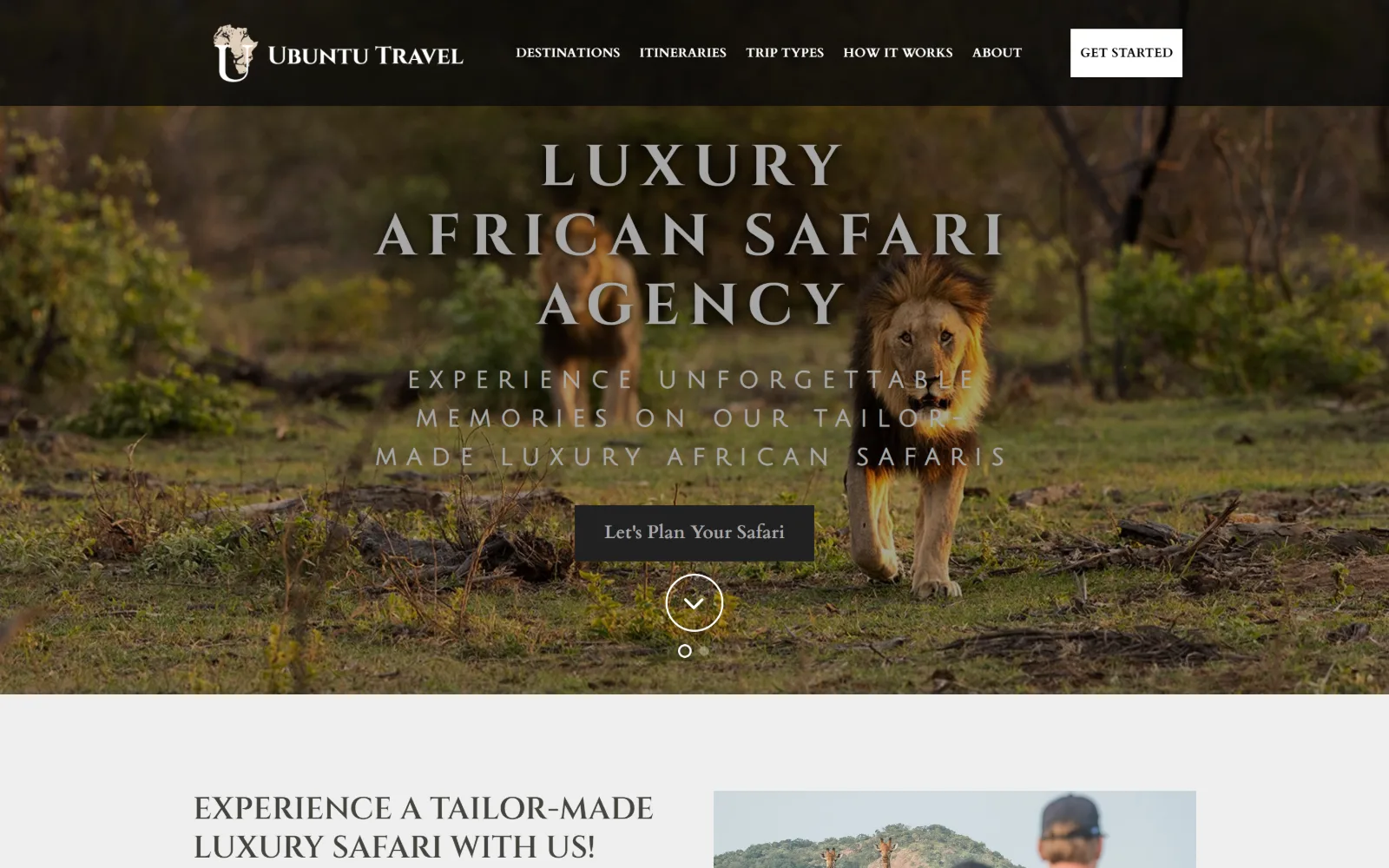 ubuntutravelgroup.com, travel agency website design: a pair of lions walk toward the camera through green bush at golden hour