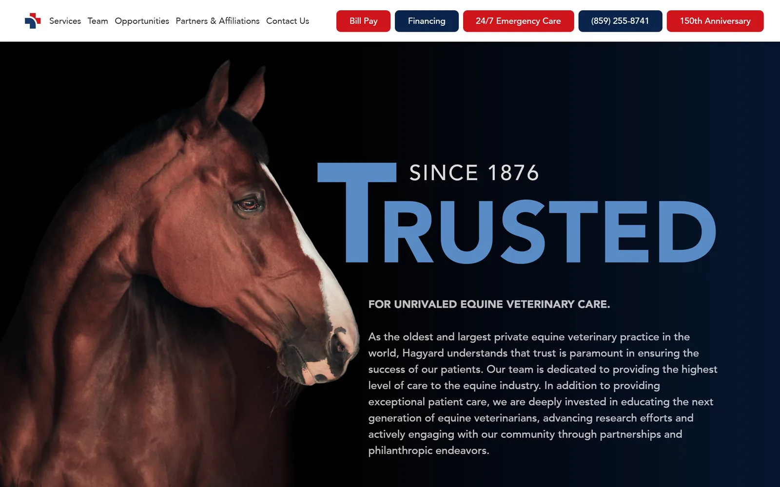 hagyard.com, veterinary website design: a bay horse lit against black, with the word TRUSTED set enormous in cornflower blue beside it