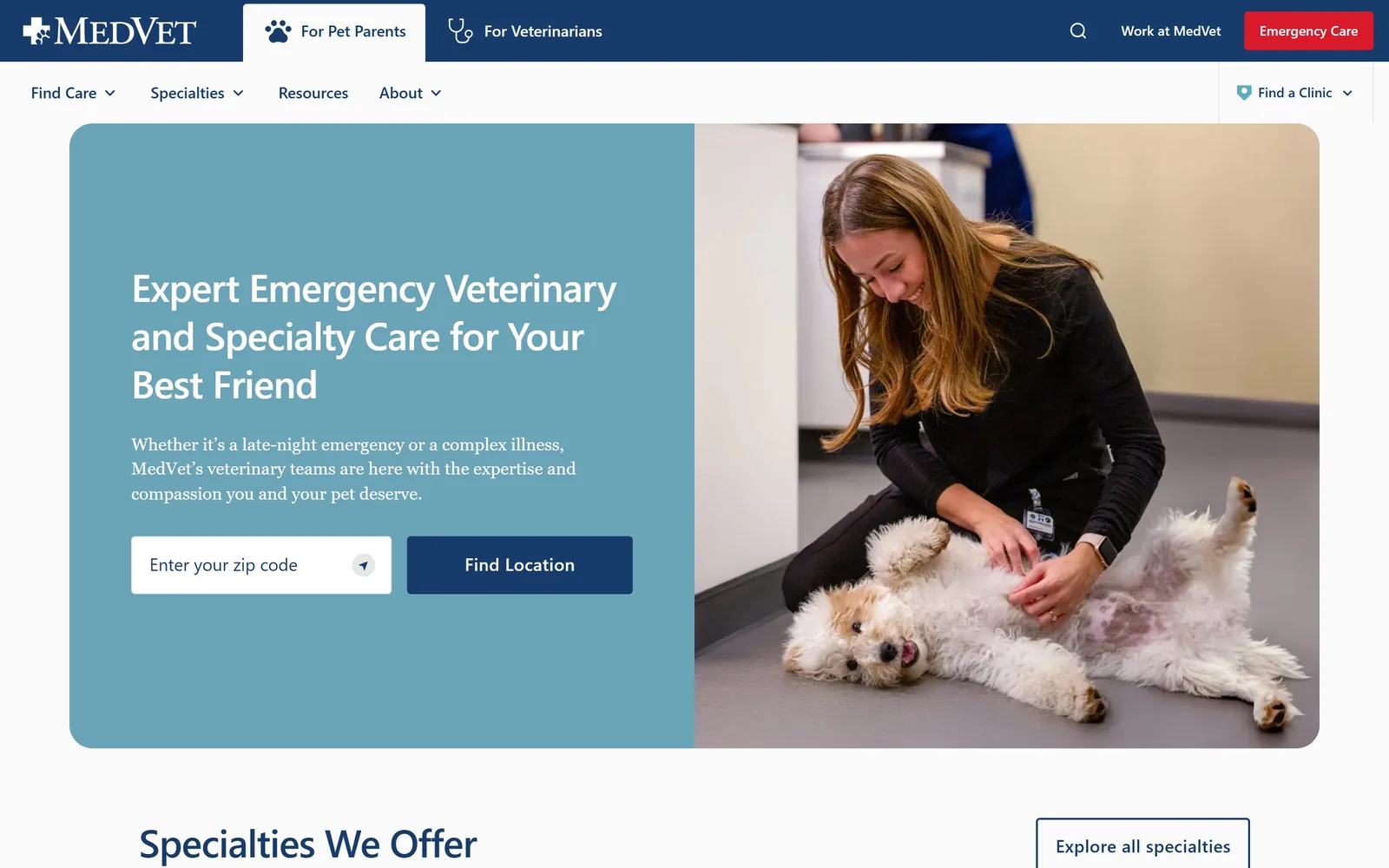 medvet.com, veterinary website design: a vet kneels with a small white dog on its back, beside a dusty-blue panel holding a zip-code field