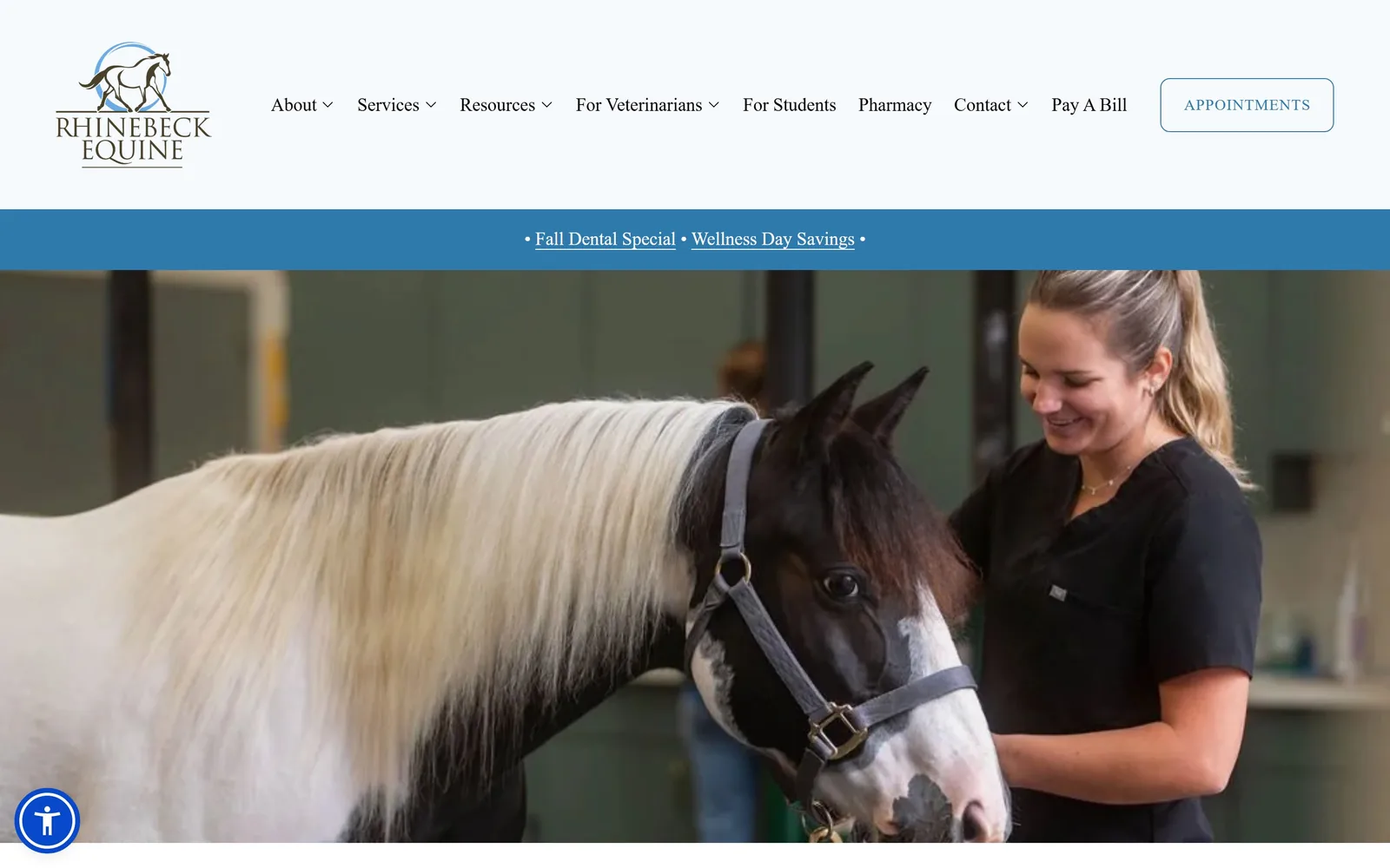rhinebeckequine.com, veterinary website design: a vet in black scrubs stands with a piebald cob in a green-walled barn aisle
