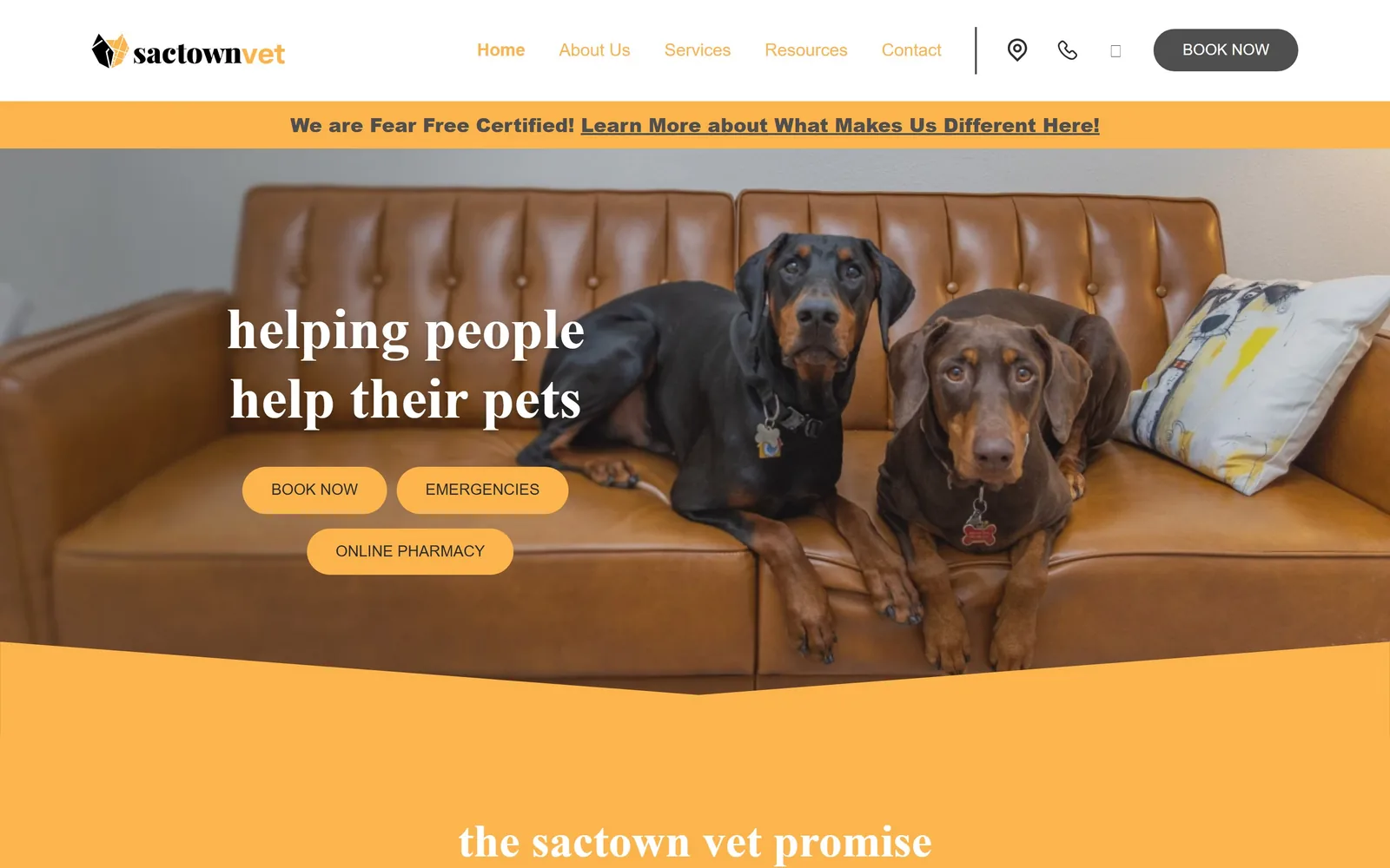 sactownvet.com, veterinary website design: two dobermans sit on a tan leather sofa under a lowercase serif line reading helping people