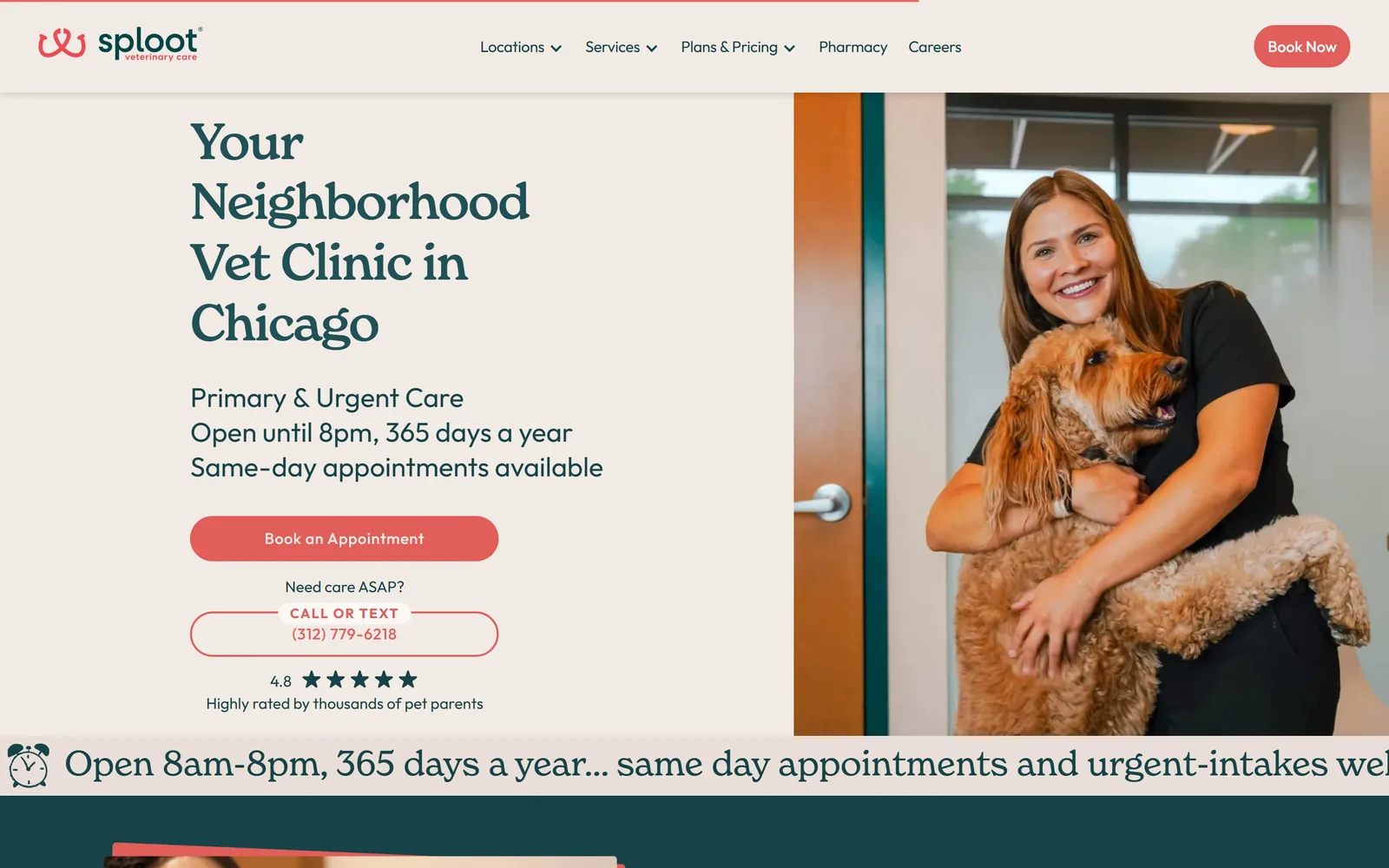 splootvets.com, veterinary website design: serif headline in deep teal on oatmeal